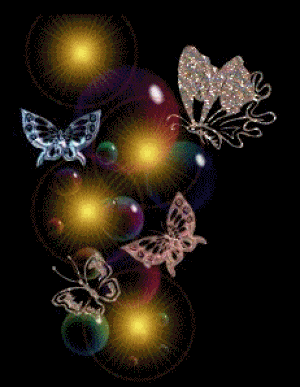 butterfly