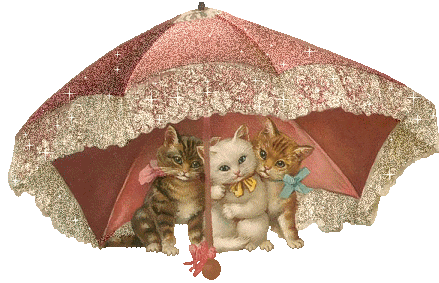 kittens