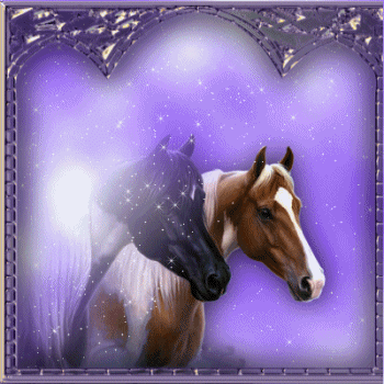horses