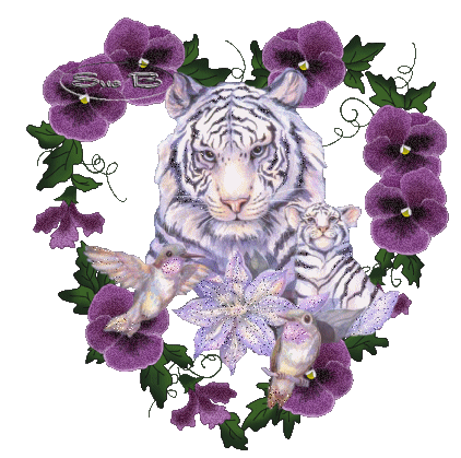 lioncub