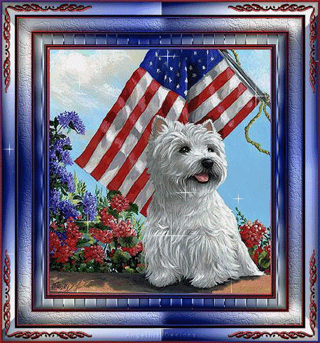 dogflag
