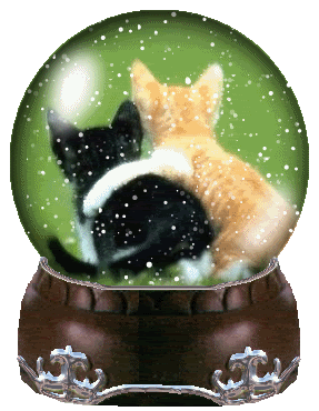kittensnow